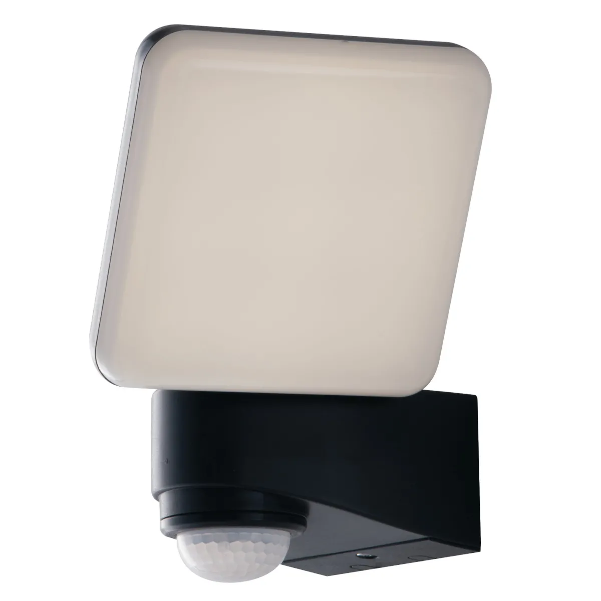 Projecteur extérieur 10 W avec détecteur | Mondialshop