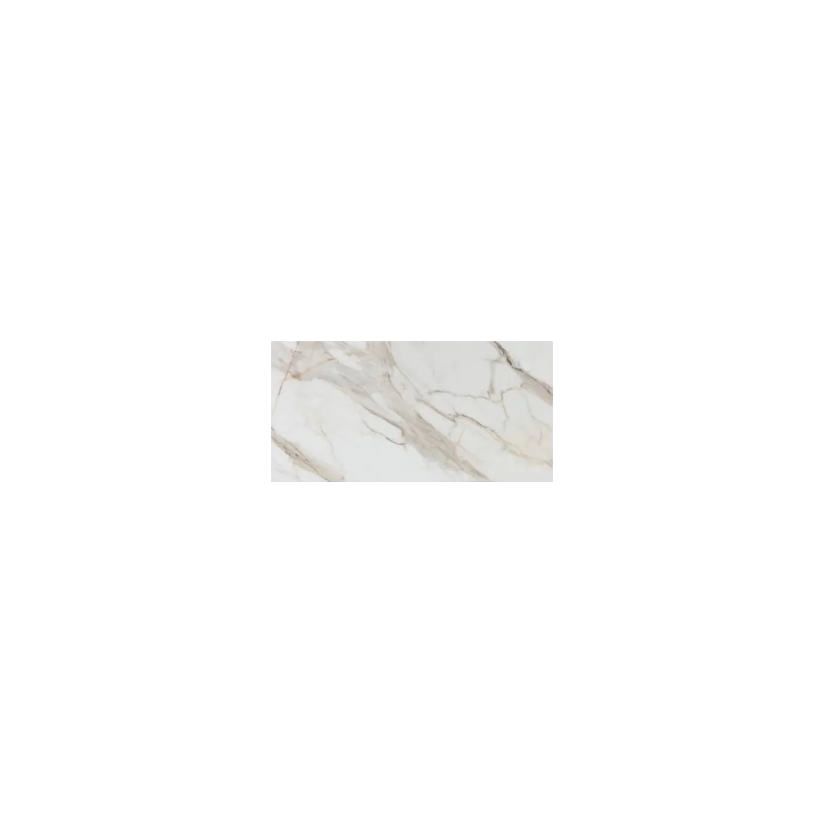 Piastrella in gress porcellanato Calacatta Gold White Lucido  60x120