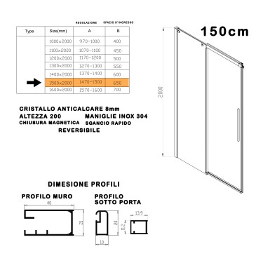 Porte de douche pour niche avec profilés en acier satiné h200