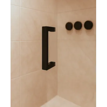 Porte de douche niche...
