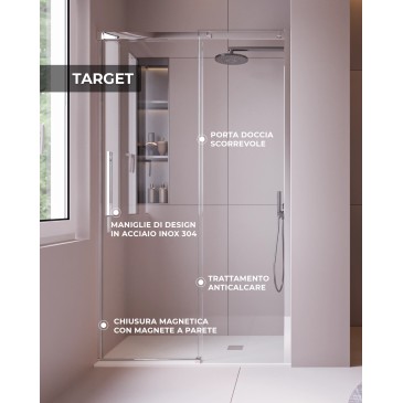 Porte de douche pour niche avec profils en acier satiné h200