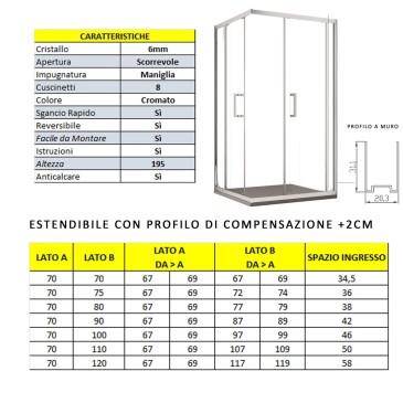 Cabine de douche d'angle H195 cm deux portes coulissantes en cristal Adry mat 6 mm