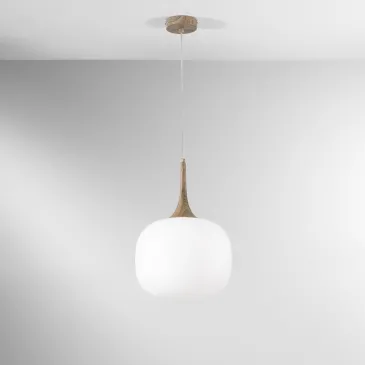 SOSPENSIONE JAIPUR...