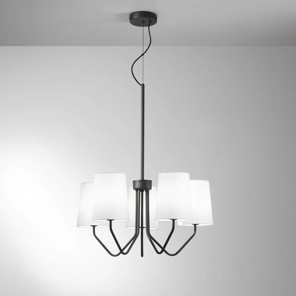 SALLY BLACK SUSPENSION 5XE14 60X150CM
