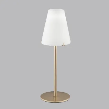 GOLD/WEISS CANTO LIGHT 1XG9...