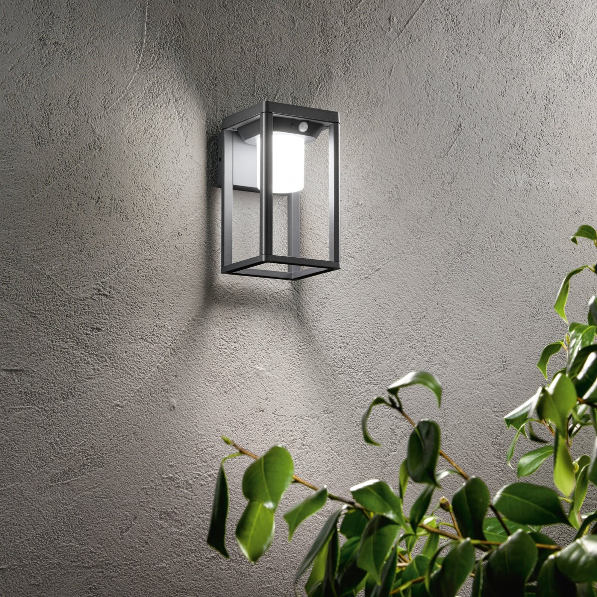 APPLIQUE LED KYOTO ANTRACITE 2,5W 300LM 4000K CON...