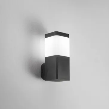 APPLIQUE FOCUS NERA...