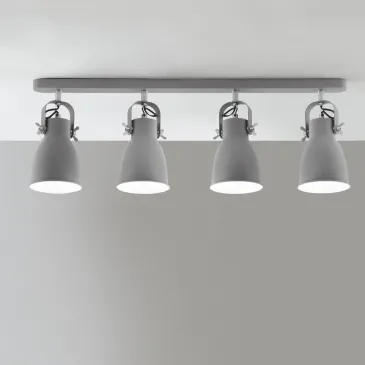 Projecteur gris et nickel...