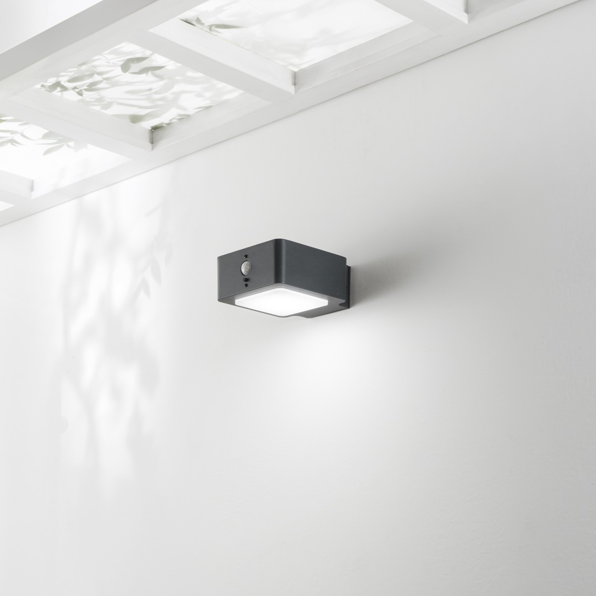 TED LED-Wandleuchte, Anthrazit, 3 W, 300 lm, 4000 K,...