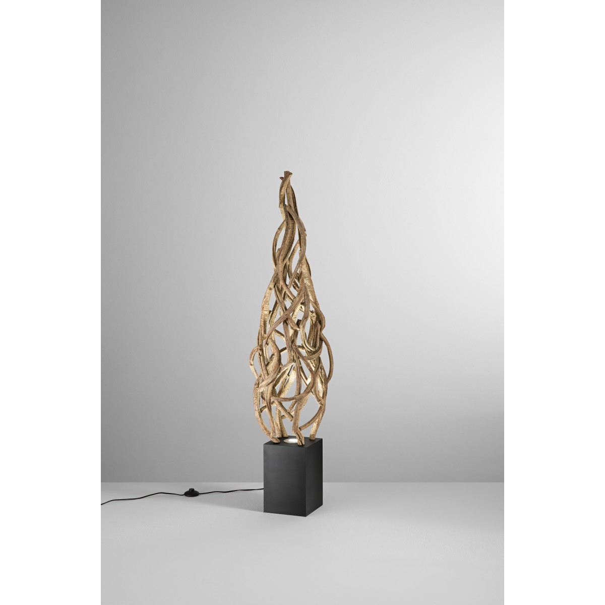 PIANTANA EPIGEA 33-37X33-37X150CM