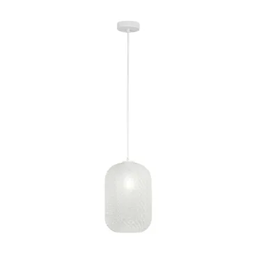 Farbige ovale Pendelleuchte 1xE27 | Mondialshop