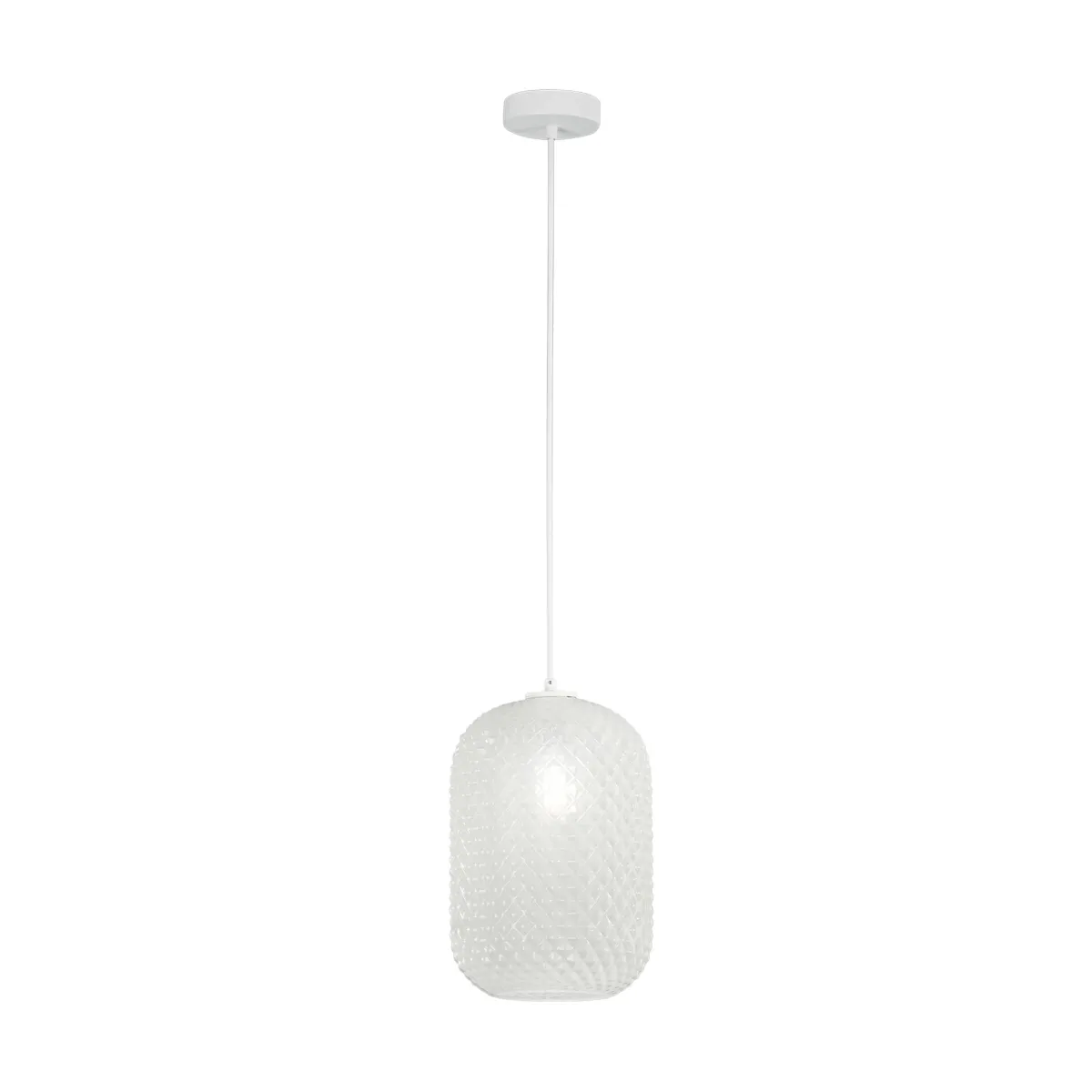 Farbige ovale Pendelleuchte 1xE27 | Mondialshop