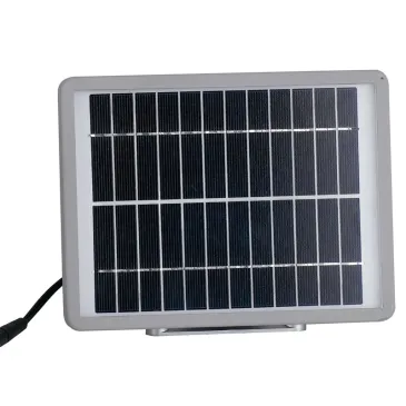 Proiettore LED Solare con Sensore Movimento | Mondialshop