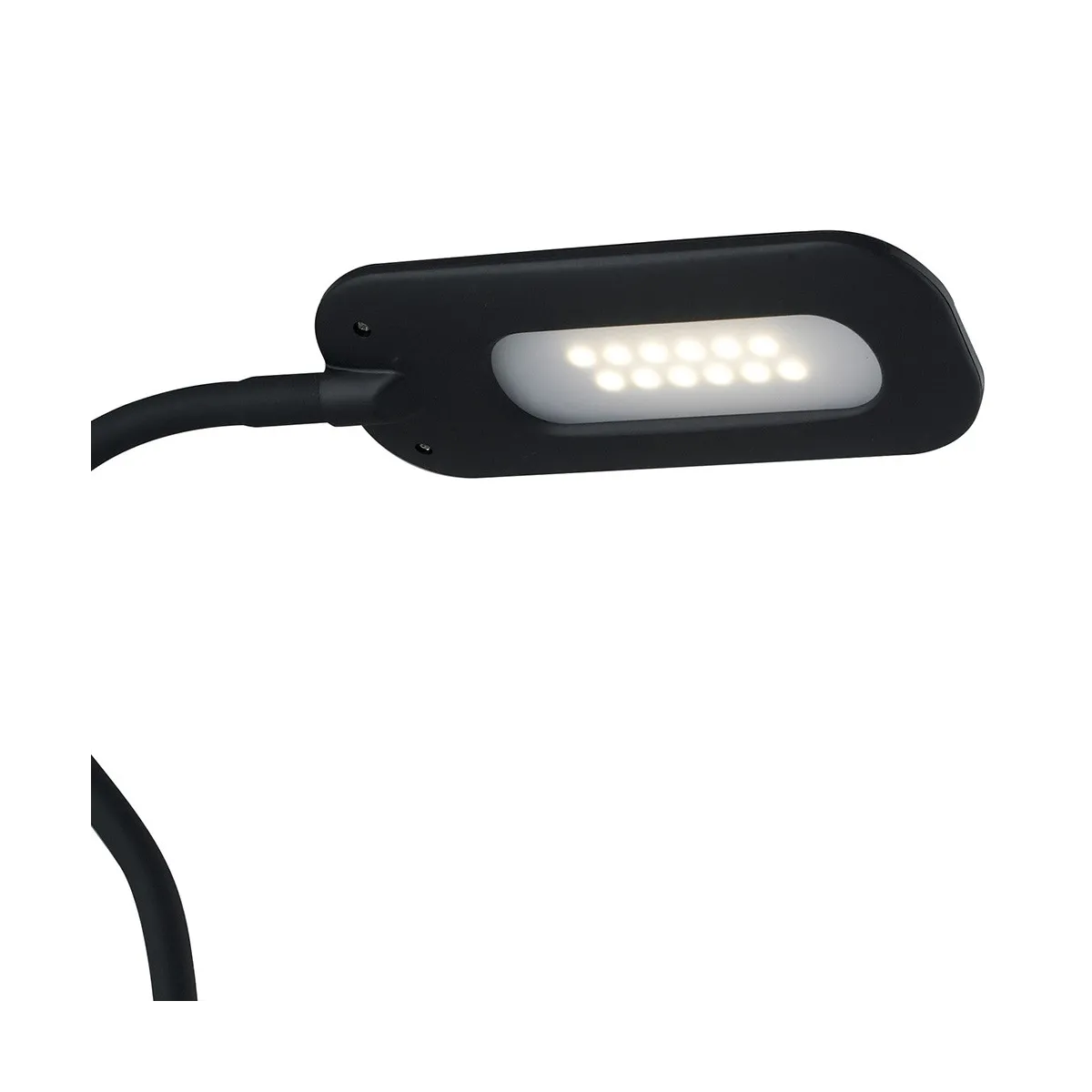 Lampe noire avec lumière LED incluse Darwin FanEurope Line